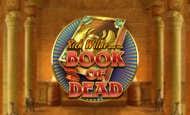 Play Book of Dead Slot