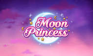 Play Moon Princess Slot