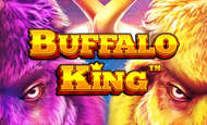 Play Buffalo King Slot